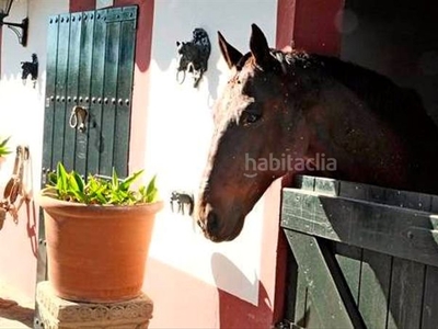 Casa lujosa finca de caballos con 3 casas independientes en Fuengirola
