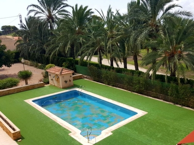 Venta de casa con piscina y terraza en Perleta (Elche (Elx)), Perleta