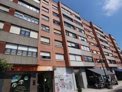 Alquiler de piso en Zona Caces (Oviedo), Milán-Pumarín