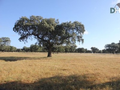 Solar en venta en Badajoz