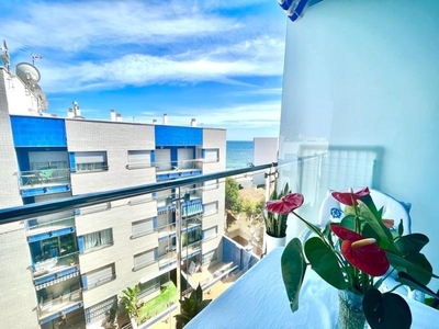 Apartamento en Torrevieja