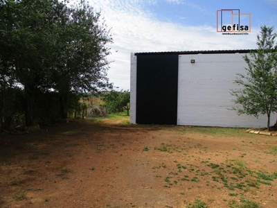 Casa con terreno en Valdepeñas