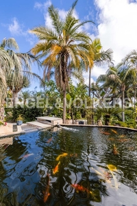 Finca única rodeada por jardín botánico