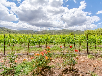 Historic wine farm in mountain setting