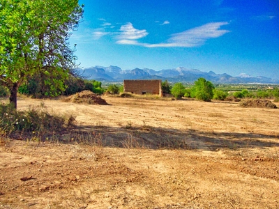 Terreno en ladera con vistas en Santa Eugenia
