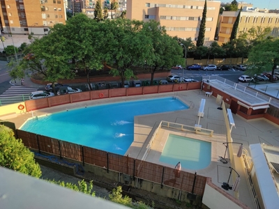 Alquiler de piso con piscina y terraza en La Buhaira (Sevilla), Nervión