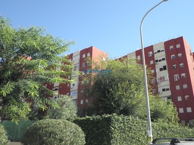 Alquiler de piso con piscina y terraza en Montequinto (Dos Hermanas), Centro