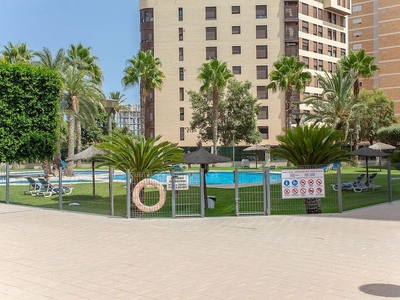 Alquiler de piso en calle Maestro José Garberí Serrano de 2 habitaciones con terraza y piscina