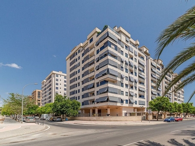 Alquiler de piso en Paus - Poligono San Blas de 2 habitaciones con terraza y piscina