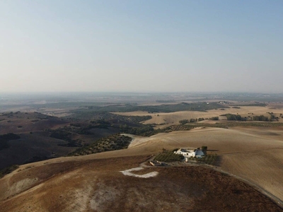 Finca/Casa Rural en venta en Morón de la Frontera, Sevilla