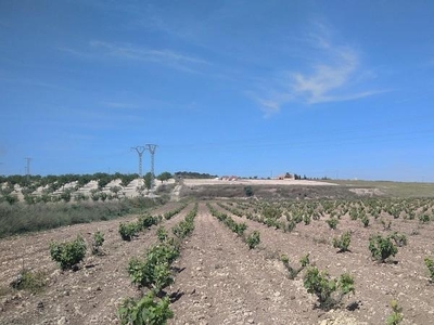 Chalet en Cañada del Trigo