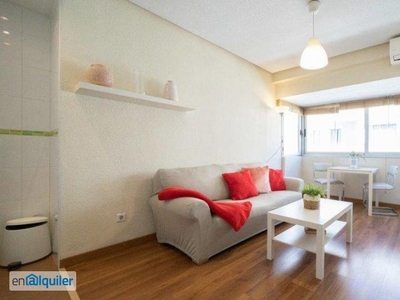 Luminoso apartamento de 1 dormitorio con aire acondicionado en alquiler en Salamanca