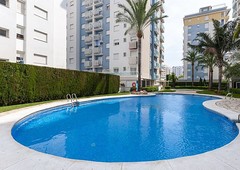 CORALINA - Apartamento para 6 personas en PLAYA DE GANDIA.