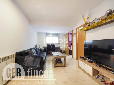 Piso en venta en Carrer del Puigsacalm