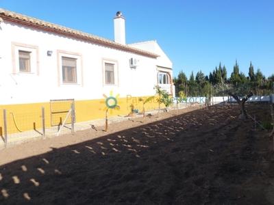 Venta de casa con terraza en Oliva, Playa