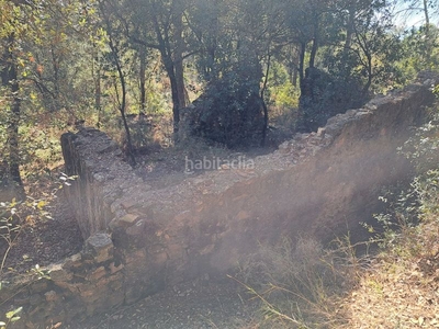 Masía en carretera de les aigües masia en ruïnes prop de breda en Sant Feliu de Buixalleu
