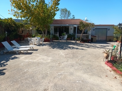 Se vende Vivienda con Terreno en Setenil de las Bodegas Venta Setenil