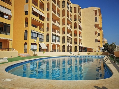Venta de piso en calle En Ingeniero Joaquin Muñoz de 2 habitaciones con terraza y piscina