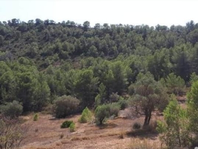 Terreno con Ruinas en venta en la N-420' Móra d'Ebre