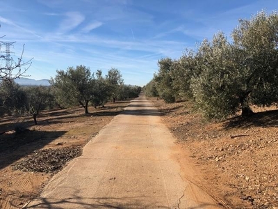 Terreno en venta en la El Grillo' Meco