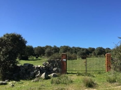 Terreno no urbanizable en venta en la Cañada Real Leonesa Oriental' Higuera de las Dueñas