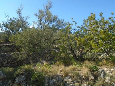 Terreno no urbanizable en venta en la Camí de la Vall del Pastor' Roquetes