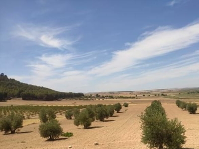 Terreno no urbanizable en venta en la Camino de Albarreal' Toledo