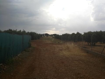 Terreno no urbanizable en venta en la Camino de la Quebrada' Almagro