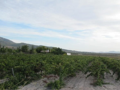 Terreno no urbanizable en venta en la Camino de los Pedregales' Salinas