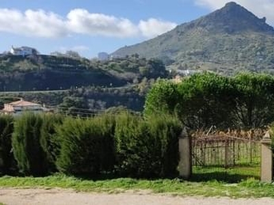 Terreno no urbanizable en venta en la Camino de los Pinos Reales' Puerto de las Eras