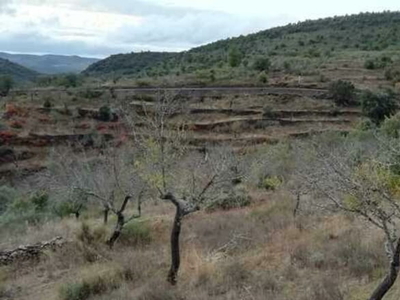 Terreno no urbanizable en venta en la Camino de Valdobarco' Vilvestre