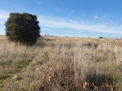 Terreno no urbanizable en venta en la El Llano de la Casa' Nuevo Baztán