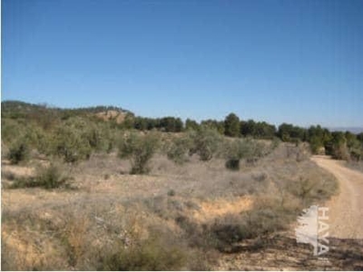 Terreno no urbanizable en venta en la El Llano' Requena