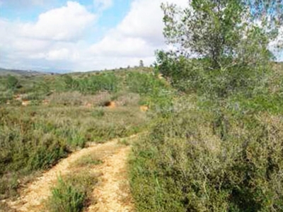 Terreno no urbanizable en venta en la Mas del Regall' Vall d'Alba