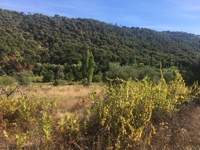 Terreno no urbanizable en venta en la Valhondo y Los Velascos' Cadalso de los Vidrios