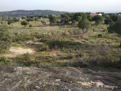 Terreno no urbanizable en venta en la Valle de la Dehesa' Cadalso de los Vidrios