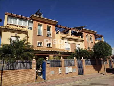 Casa adosada en venta en Calle Aligustres, nº 41