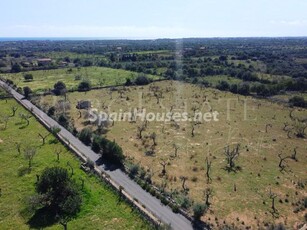 Parcela en venta en Sant Llorenç des Cardassar