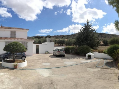 Venta Chalet Antequera. 8900 m²