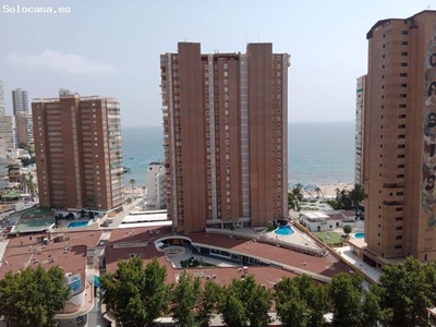Apartamento Estudio semireformado con parking y piscina en Avenida del Mediterraneo de Benidorm