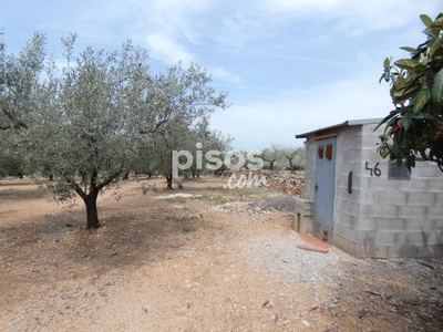 Finca rústica en venta en Calle Partida Pedralta Pol 35 Parc179