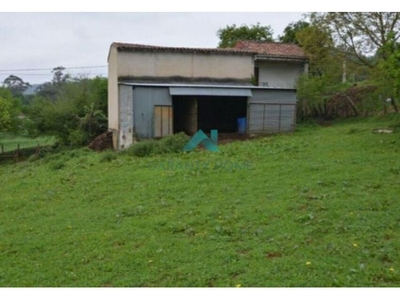 Se vende casa de pueblo con terreno rústico en Rasines