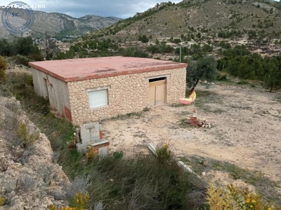 CAMPO EN MAGNIFICA ZONA DE ALMADRAVA