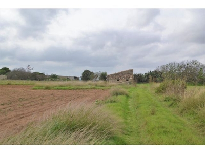 Casa de campo para reformar en Muro.