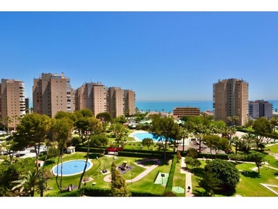 Espectacular Apartamento en complejo de primera linea de playa - Playamar - Torremolinos - Málaga