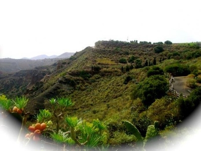 2 casas en Gran Canaria