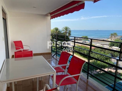 Apartamento en alquiler en Avinguda de Ferrandis Salvador, 8 en La Torre-L'Almadrava por 700 €/mes