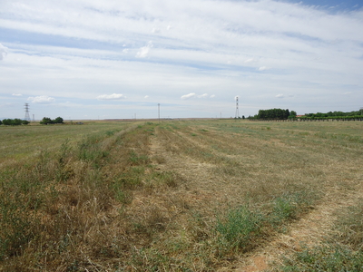 Finca de cultivo secano Parcela 78, en Alcalá de Henares, junto a la carretera de Alcalá Meco M121 Venta Alcalá de Henares