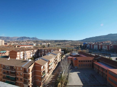 Venta Piso Granada. Piso de cuatro habitaciones en Calle Periodista Luis de Vicente 15. Novena planta con terraza