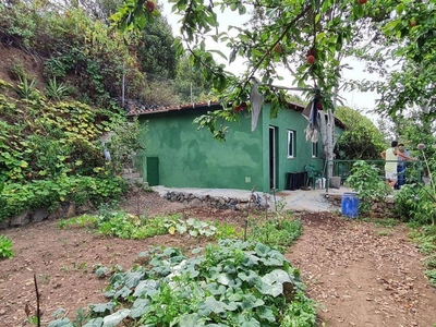 Venta Casa rústica en LA VEGA s/n Icod de Los Vinos. Buen estado 100 m²